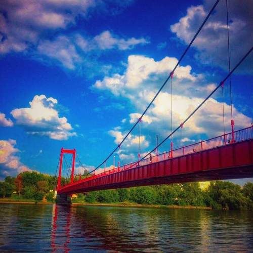 Photo #13296358