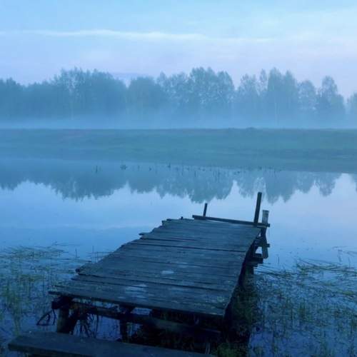 Photo #13296367