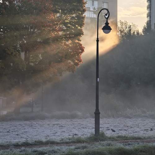 Photo #13296390