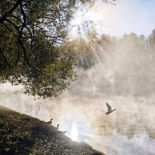 Photo #13296395
