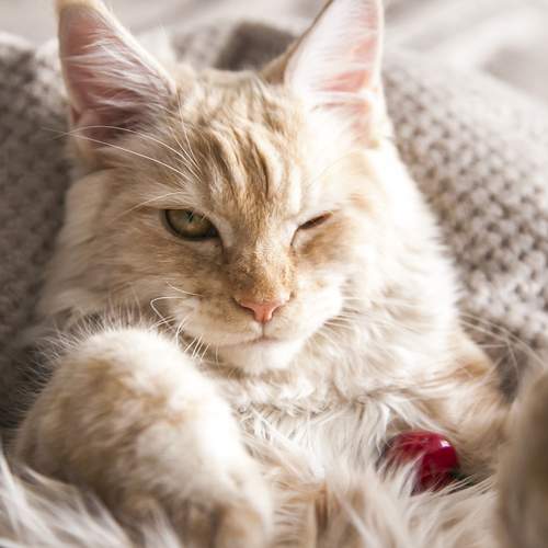 Photo #13296483