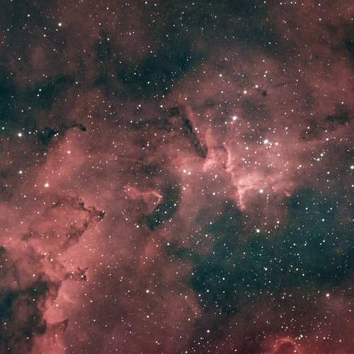 Фотография #13296572