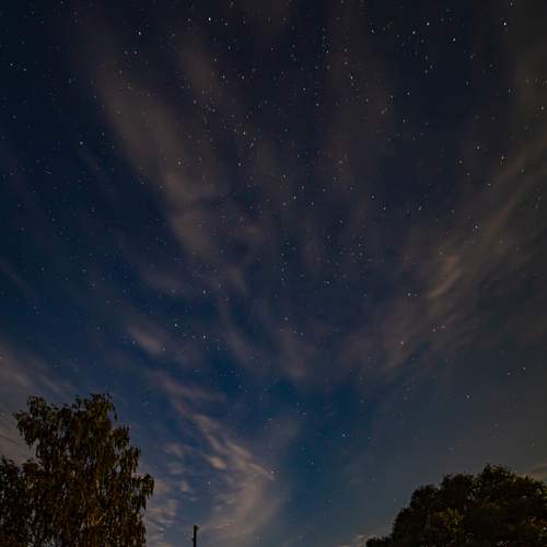 Photo #13296620