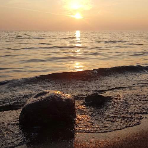 Photo #13297011