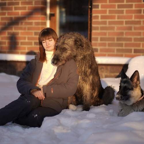 Photo #13297145