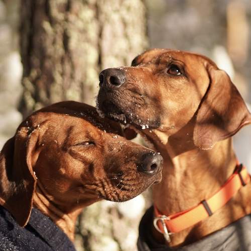 Photo #13297171