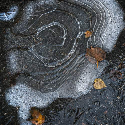 Photo #13297258