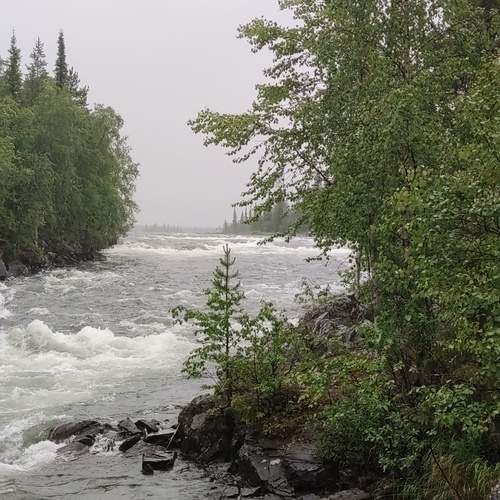 Photo #13297296