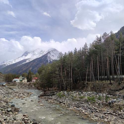 Photo #13297371