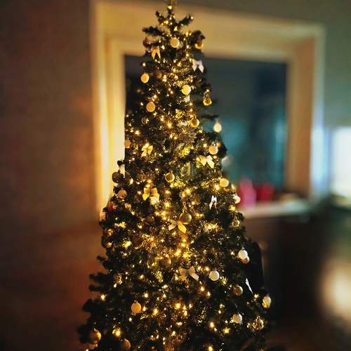 Photo #13297372