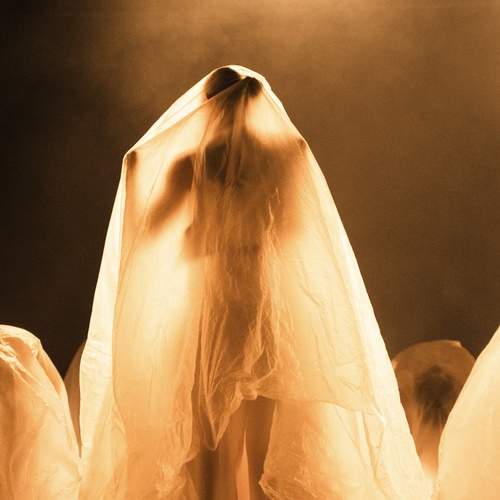 Photo #13297608