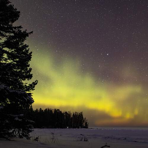 Photo #13297805