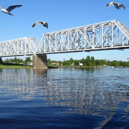 Photo #13298023