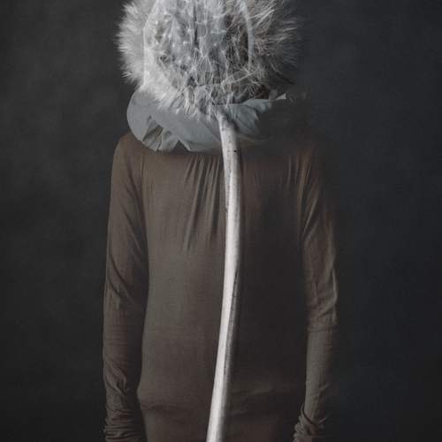 Photo #13298224