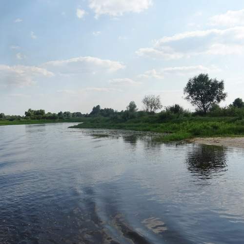 Photo #13298242