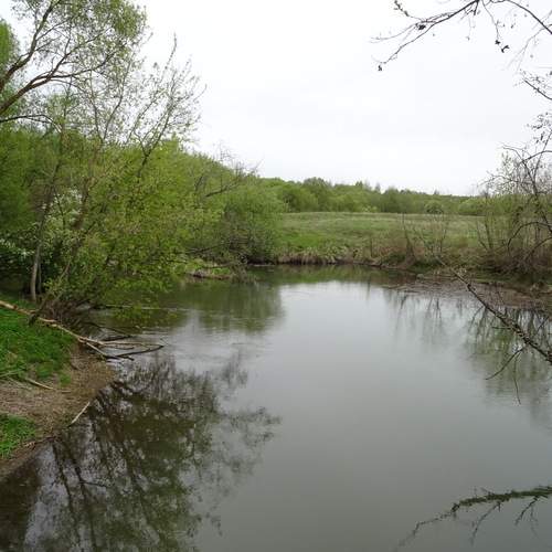 Photo #13298247