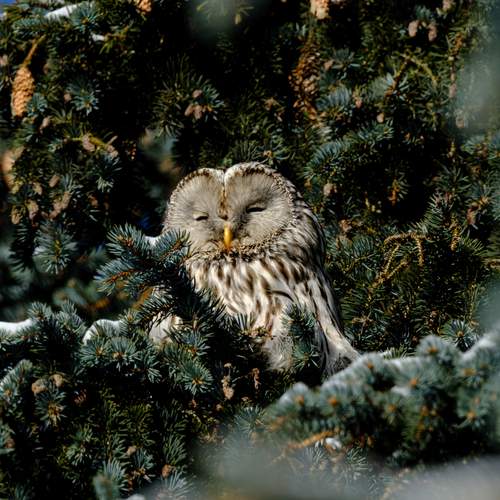 Photo #13298333