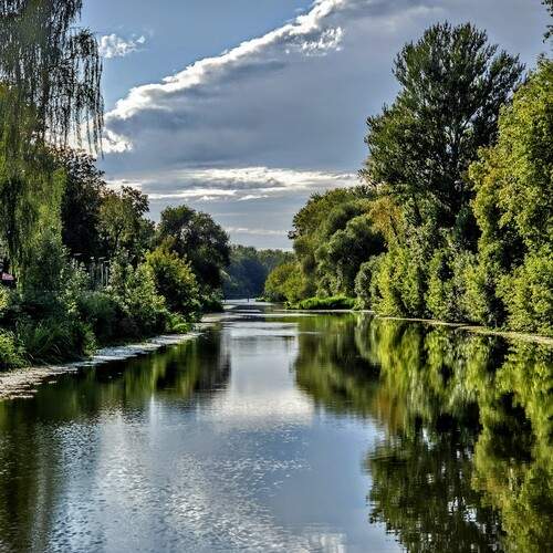 Photo #13298373
