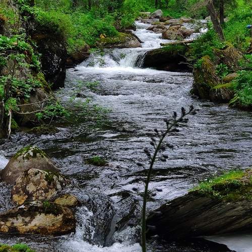 Река Тушканчик, Ергаки