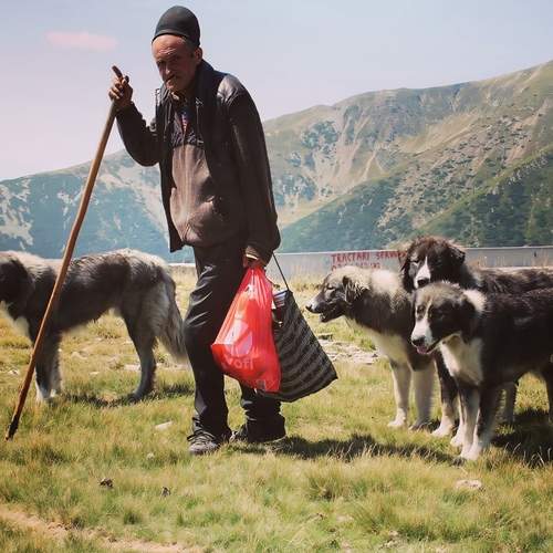 Photo #13298492
