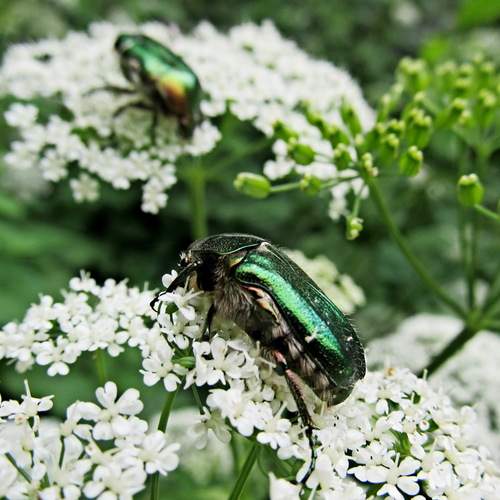 Photo #13298494