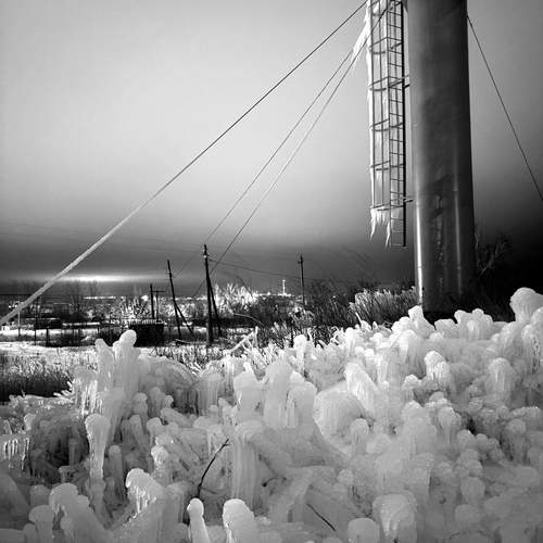 Photo #13298588