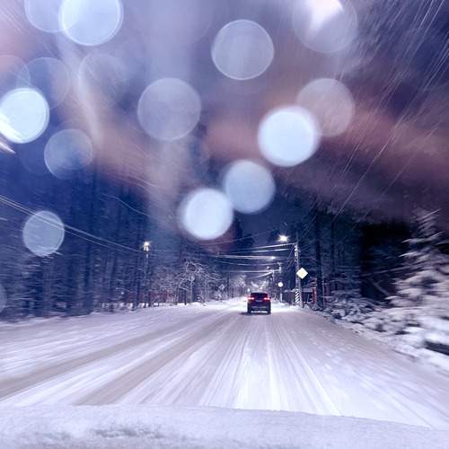 Photo #13298590
