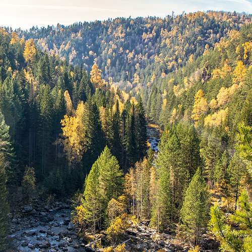 Photo #13298699