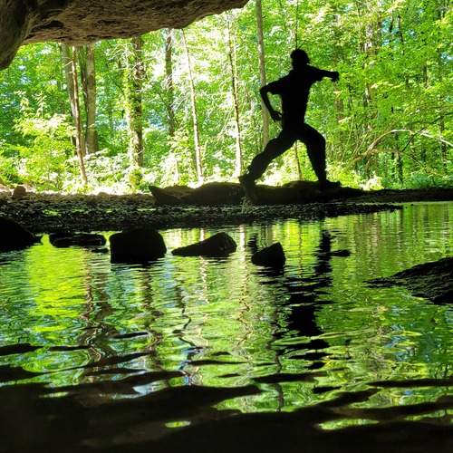 Photo #13298720