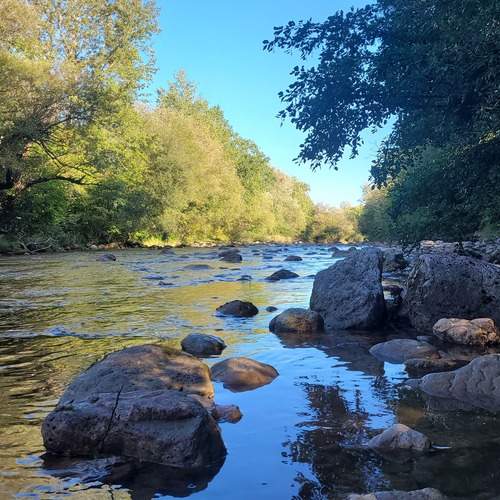 Photo #13298769