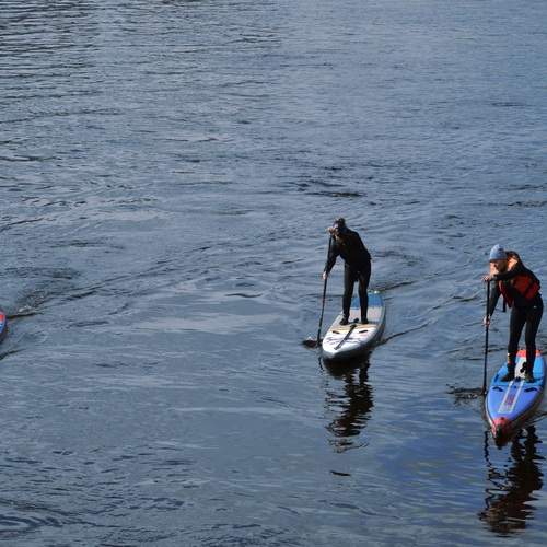 Photo #13298771