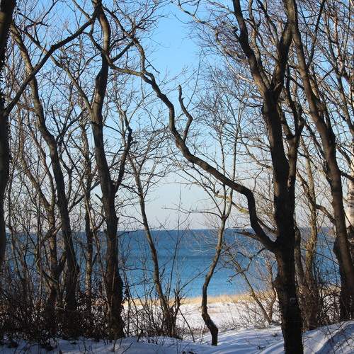 Photo #13298783