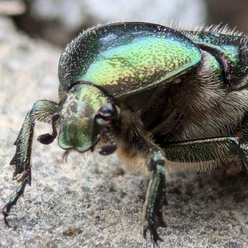 Photo #13298804