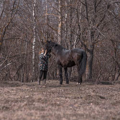 Photo #13298819
