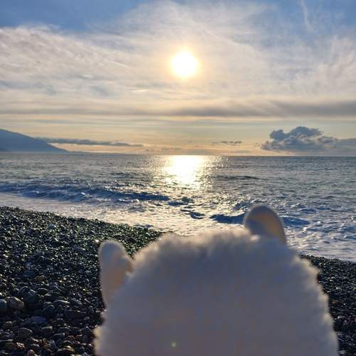 Photo #13298932