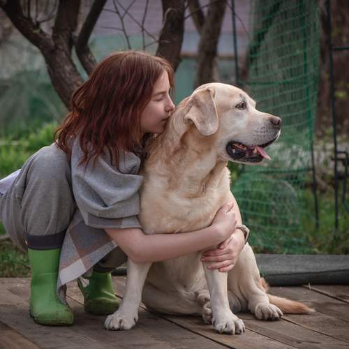Photo #13298964
