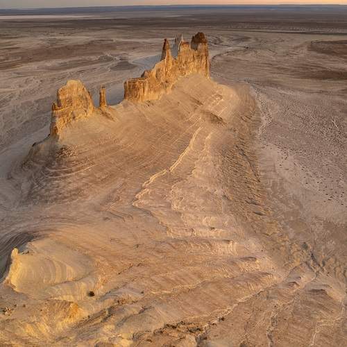 Photo #13299060