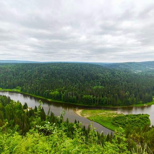 Photo #13299134
