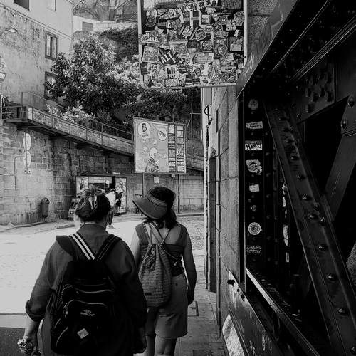 Photo #13299139