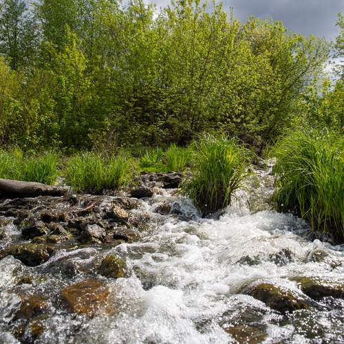 Photo #13299161