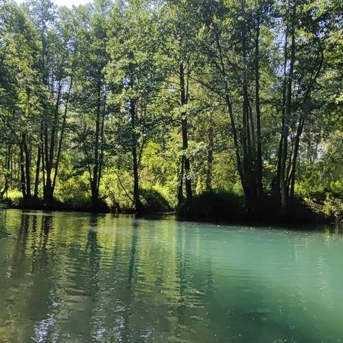 Photo #13299196