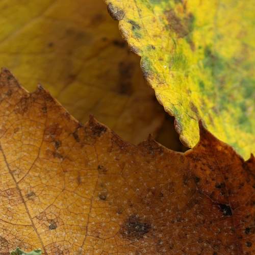 Photo #13299208