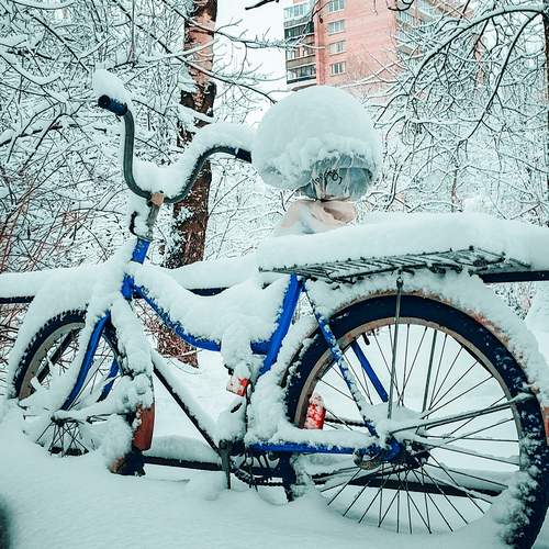 Photo #13299339