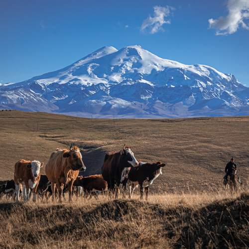 Фотография #13299359