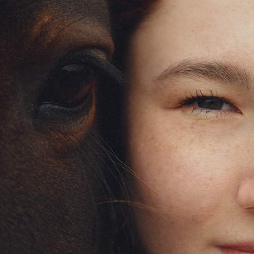 Photo #13299500