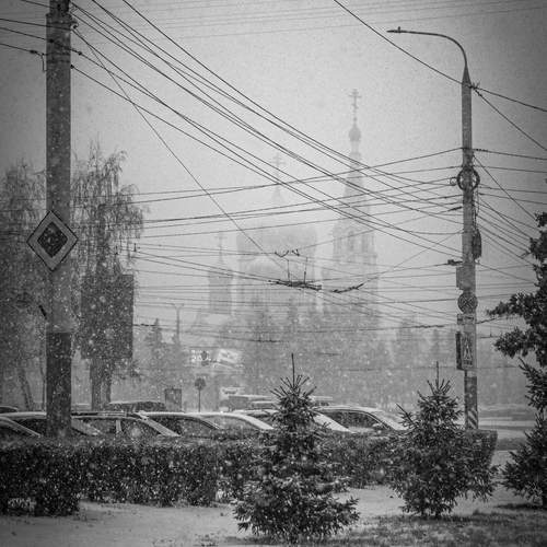 Photo #13299521