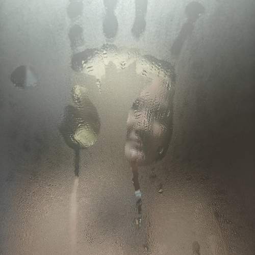 Photo #13299709