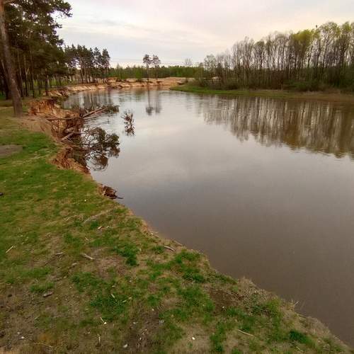 Photo #13299760