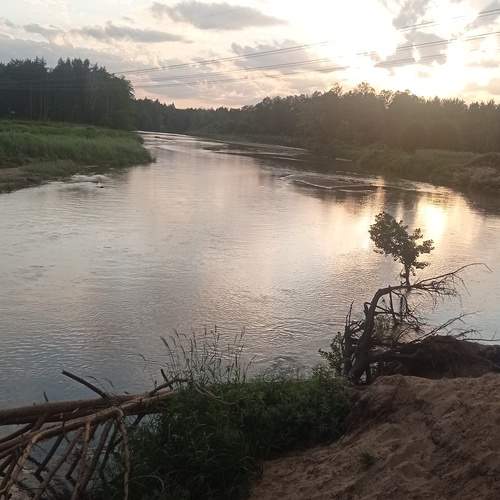 Photo #13299766