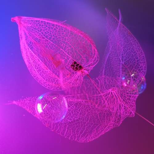 Photo #13299806